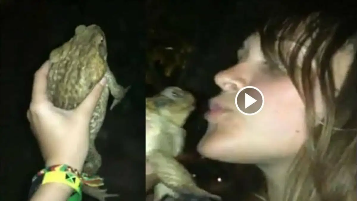 1 Women and Frog Video