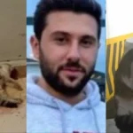 Ibrahim Keloğlan Kedi Video