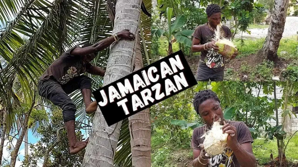 tarzan jamaica video twitter
