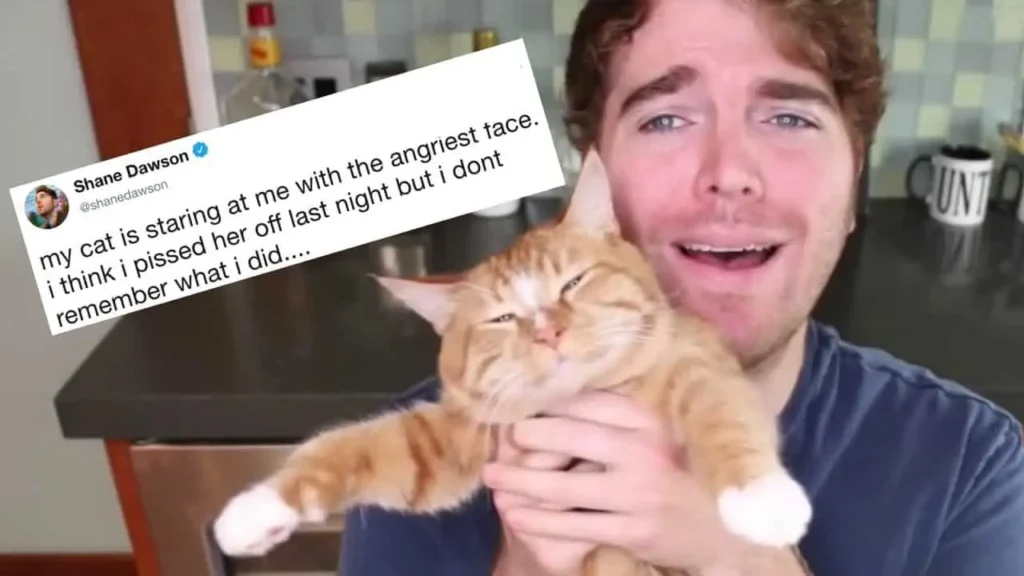 Shane Dawson Cat Incident Video Viral on Twitter and YouTube