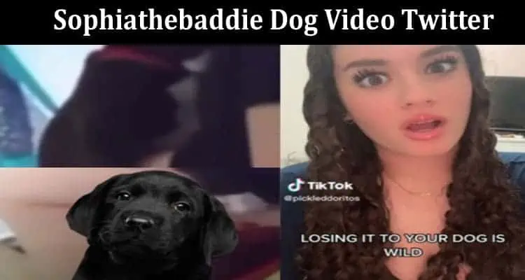 Sofia The Baddie Dog Original Video