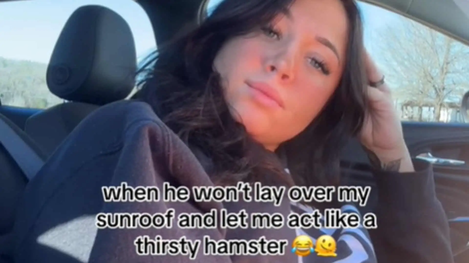 Thirsty Hamster Sunroof Video