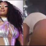 megan thee stallion viral video