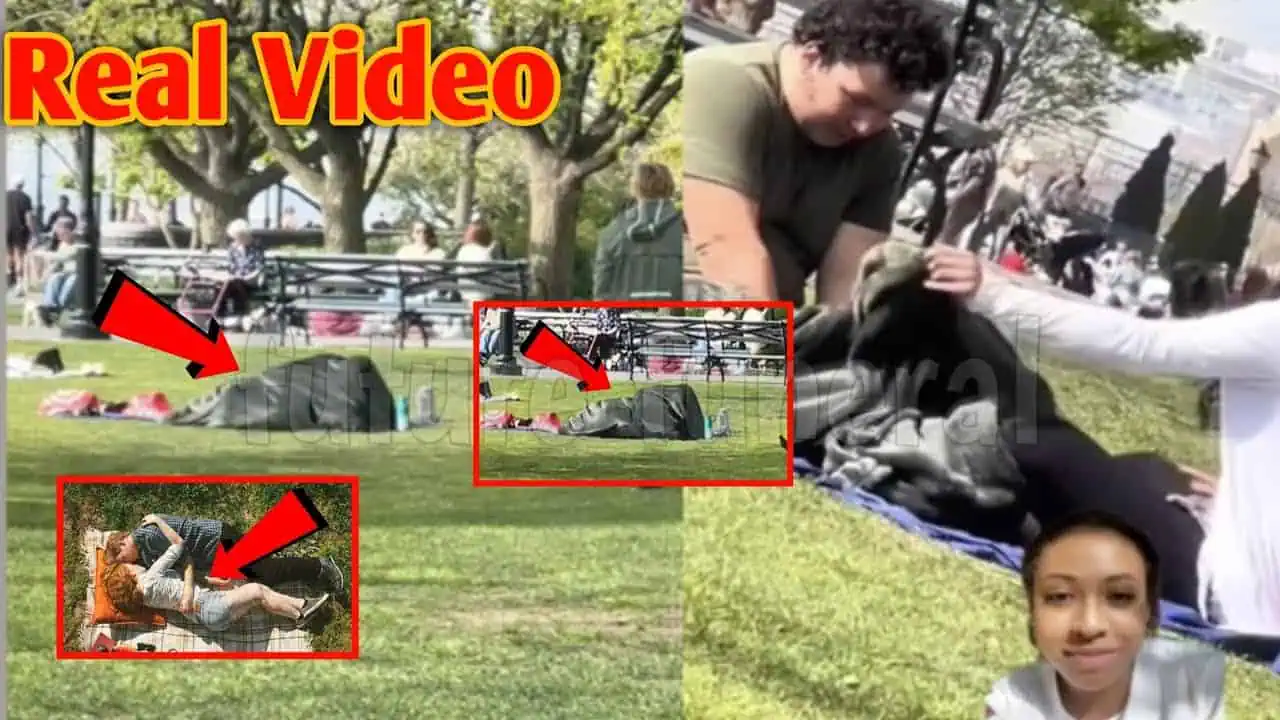 couple under blanket nyc park video