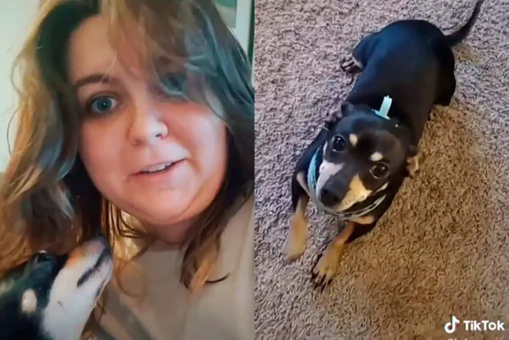 Mujer y Perro Video Viral on Social Media 2